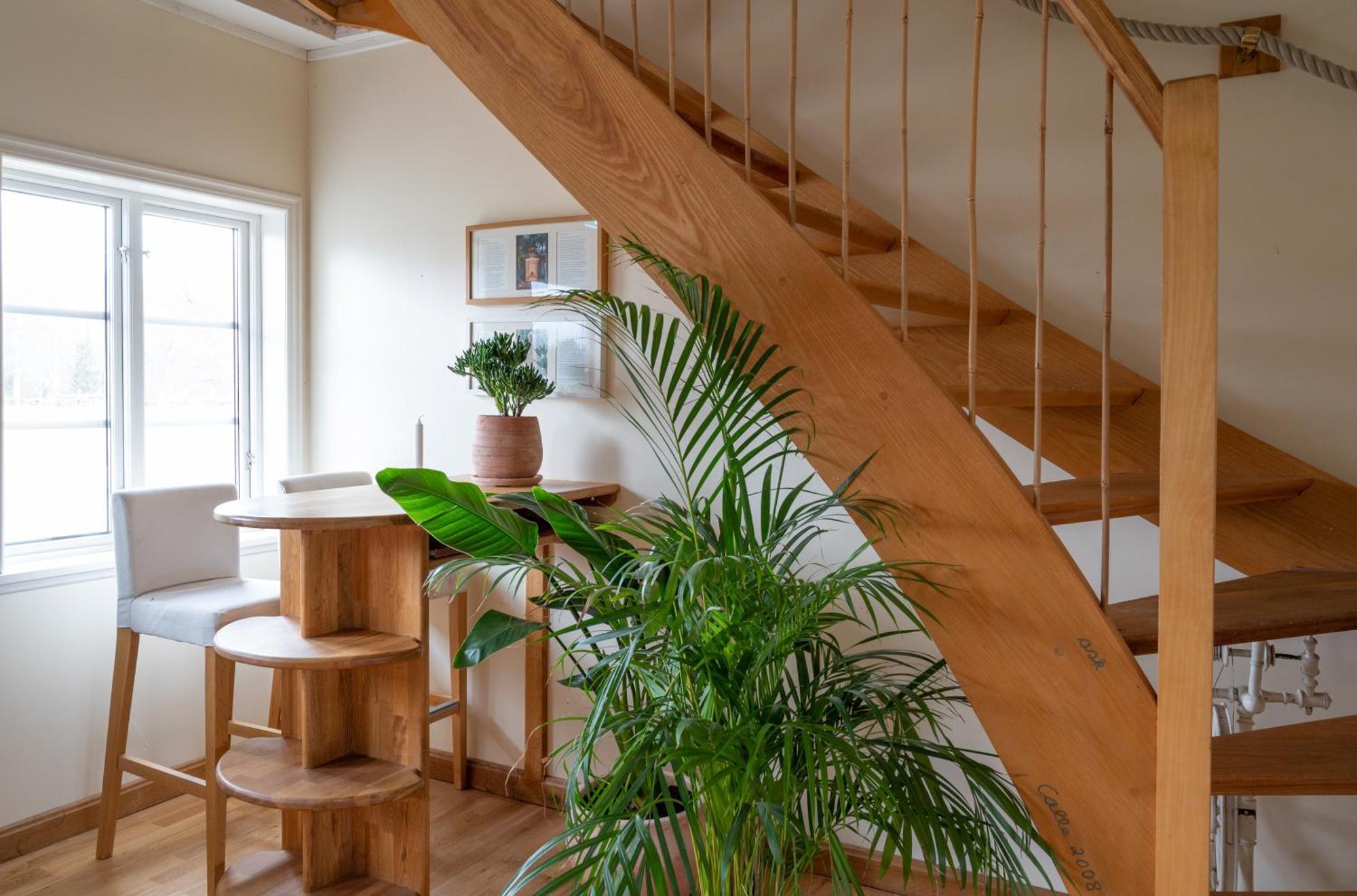 Mundekulla Apartman Kültér fotó